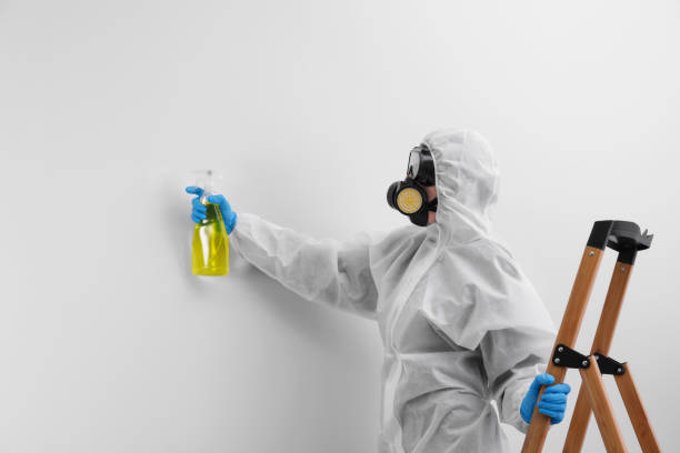 Trusted Parkersburg, WV Mold Removal Experts